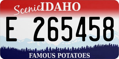 ID license plate E265458