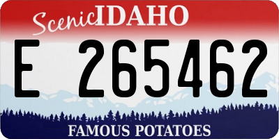ID license plate E265462
