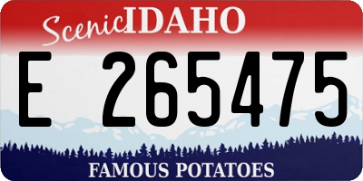 ID license plate E265475