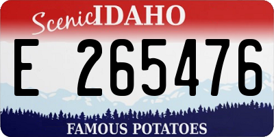 ID license plate E265476