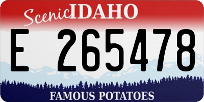 ID license plate E265478