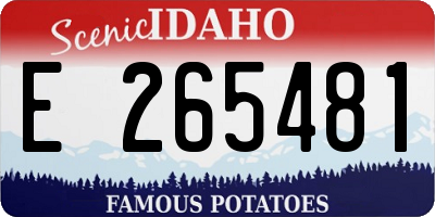 ID license plate E265481