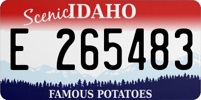 ID license plate E265483