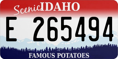 ID license plate E265494