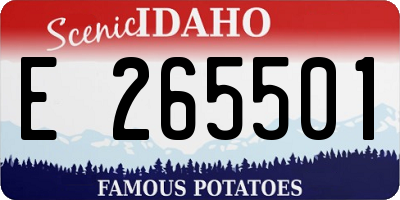 ID license plate E265501