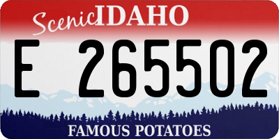 ID license plate E265502