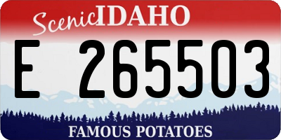 ID license plate E265503