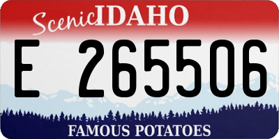 ID license plate E265506