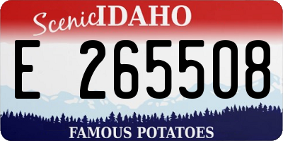 ID license plate E265508