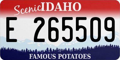 ID license plate E265509