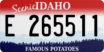 ID license plate E265511