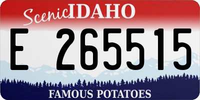 ID license plate E265515