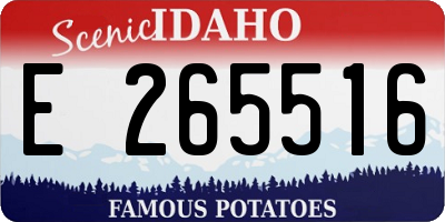 ID license plate E265516