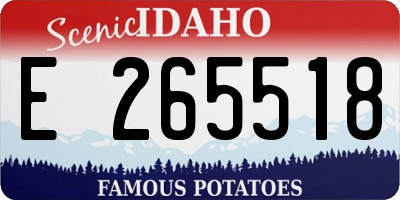 ID license plate E265518