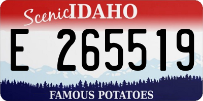 ID license plate E265519
