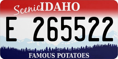 ID license plate E265522