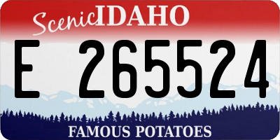 ID license plate E265524