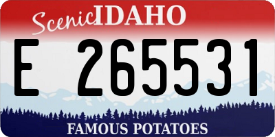 ID license plate E265531