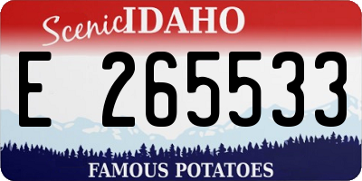 ID license plate E265533