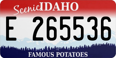 ID license plate E265536