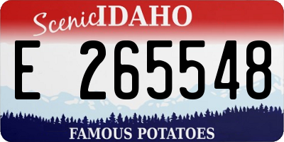 ID license plate E265548
