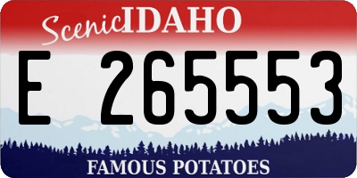 ID license plate E265553