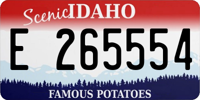 ID license plate E265554