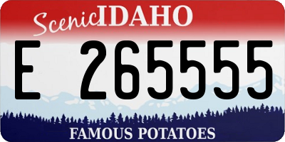 ID license plate E265555
