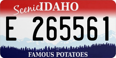 ID license plate E265561