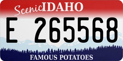 ID license plate E265568