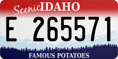 ID license plate E265571