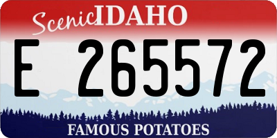 ID license plate E265572