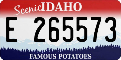 ID license plate E265573