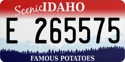 ID license plate E265575