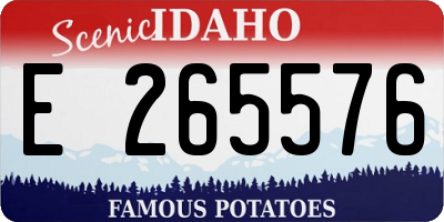 ID license plate E265576