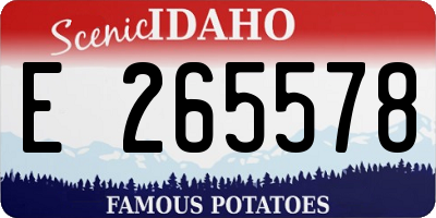 ID license plate E265578