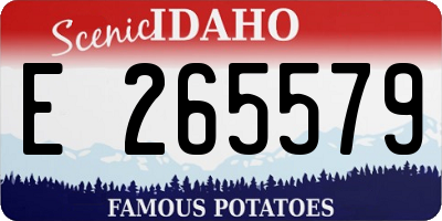 ID license plate E265579