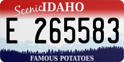 ID license plate E265583