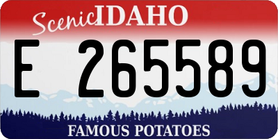 ID license plate E265589