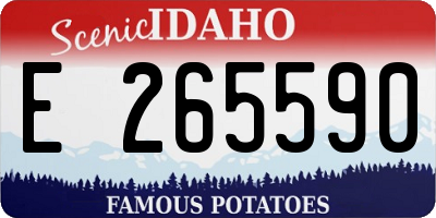 ID license plate E265590