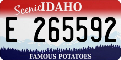 ID license plate E265592