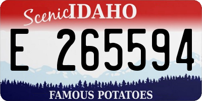 ID license plate E265594