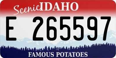 ID license plate E265597