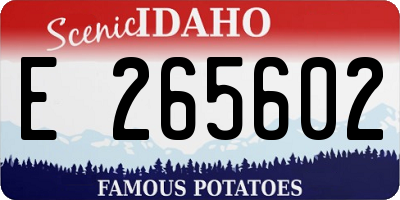 ID license plate E265602