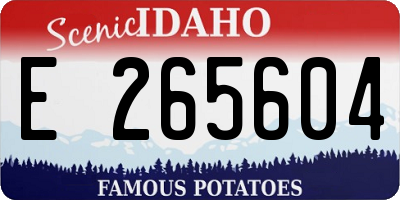 ID license plate E265604