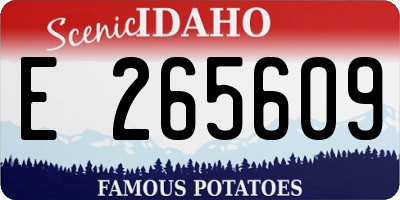 ID license plate E265609