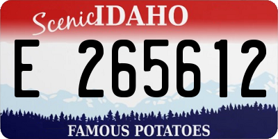 ID license plate E265612