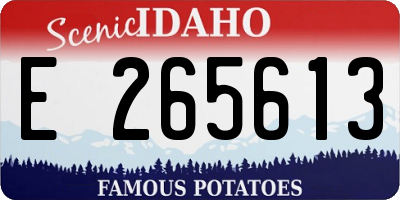 ID license plate E265613