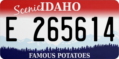 ID license plate E265614