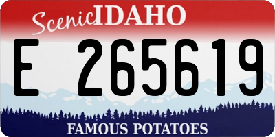 ID license plate E265619
